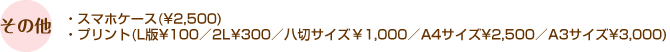 Hその他