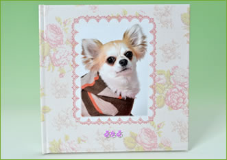 ペットの撮影製品