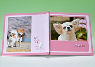 ペットの撮影製品