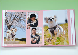 ペットの撮影製品