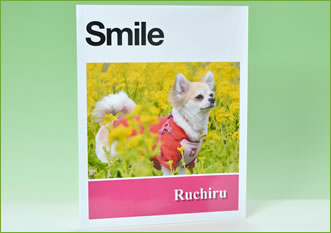 ペットの撮影製品