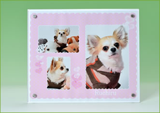 ペットの撮影製品