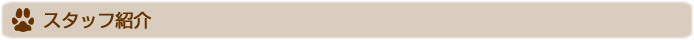 スタッフ紹介