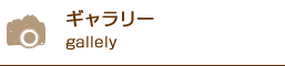 ギャラリー