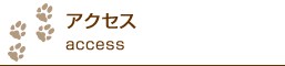 アクセス