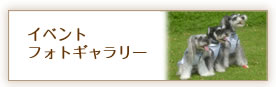 イベントフォトギャラリー